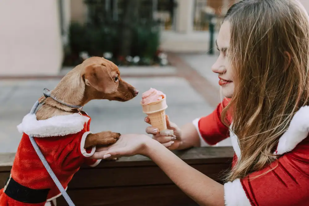 Dog Ice Cream