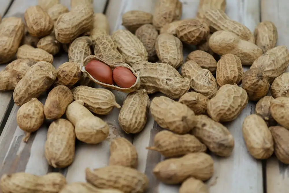 Boiled Peanuts Recipe